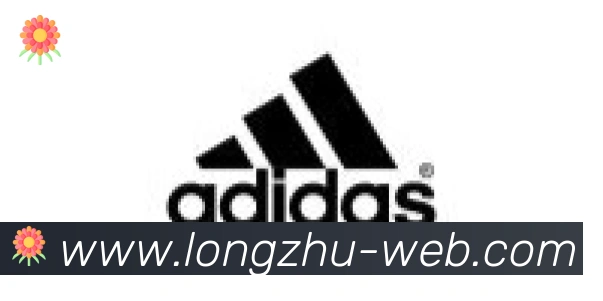 龙珠直播合作伙伴
